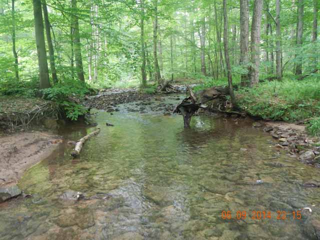 fowlers hollow.Laural run 06-09-14 089.jpg -                                